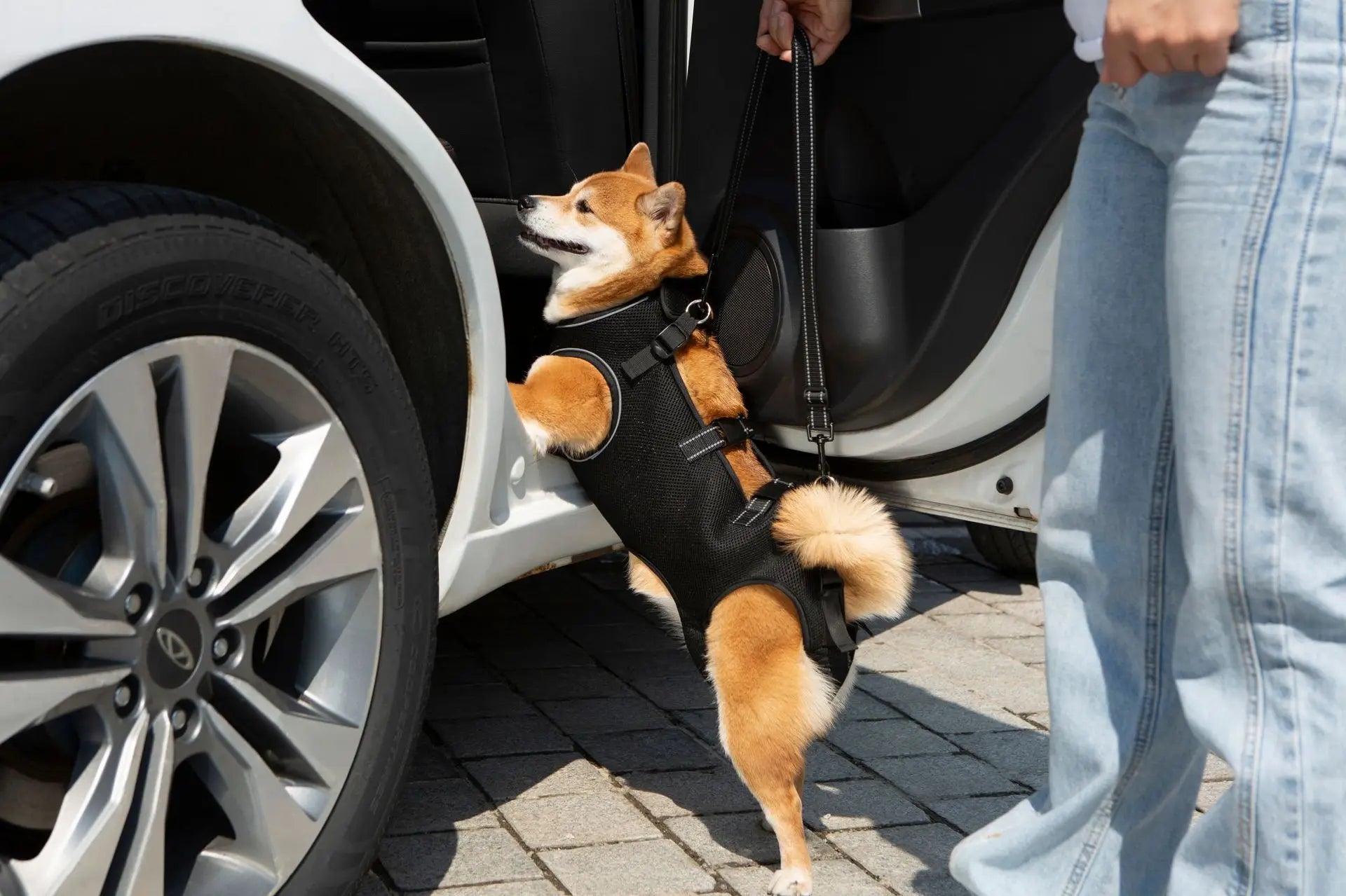 Adjustable Dog Lift Harness – Pet Support & Rehabilitation Sling for Injured Dogs