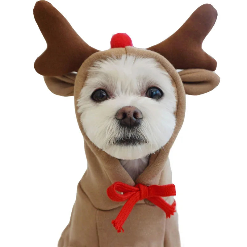 Fall Dog Hoodie – Plush Coat Sweatshirt for Small Dogs & Cats