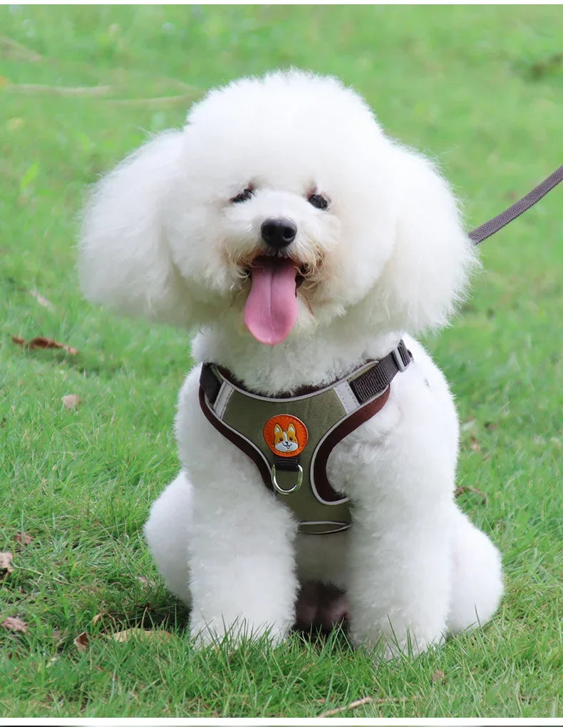 No Pull Harness & Leash Set – Adjustable Reflective Pet Vest for Small Dogs & Cats