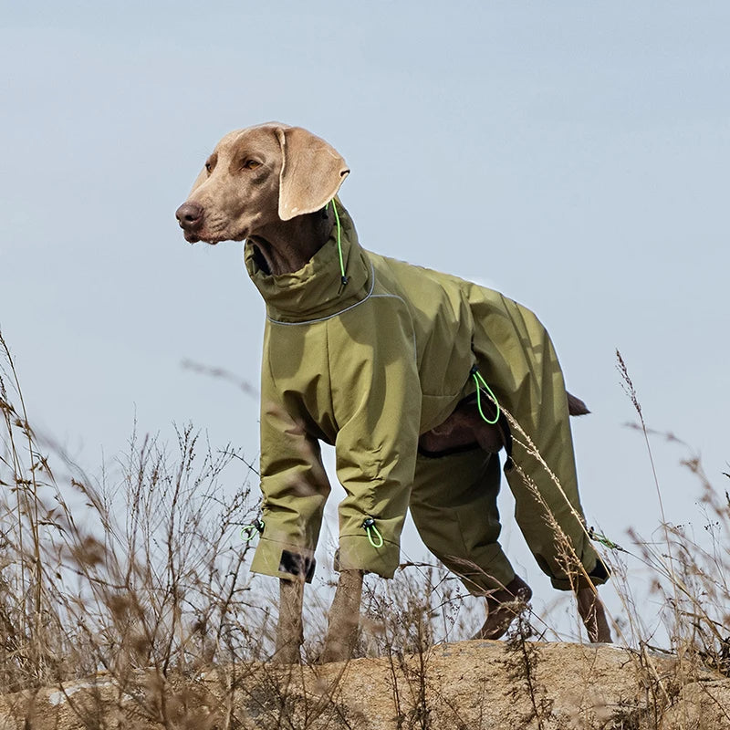 Four-Leg Waterproof Dog Jacket – Windproof Reflective Winter Suit with High Neck