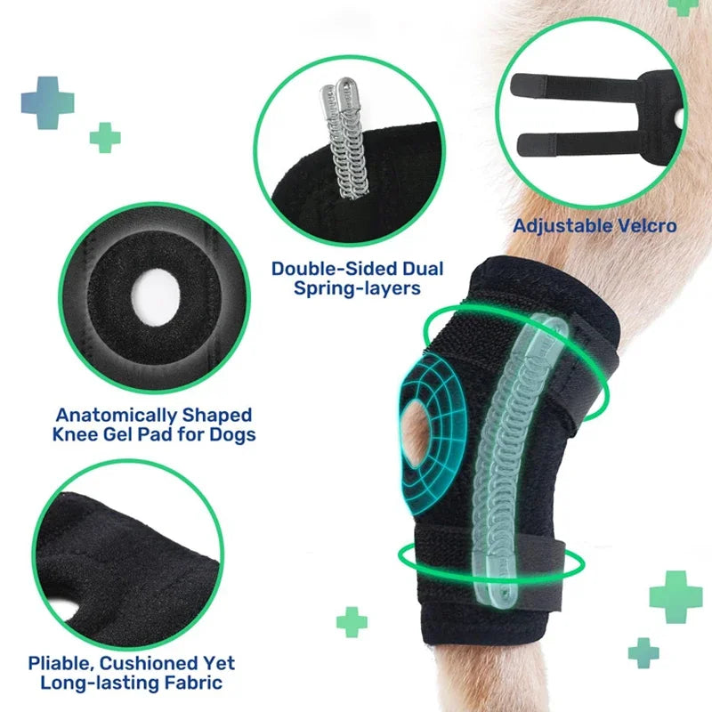 Dog Leg Support Brace – Arthritis Recovery & Injury Protector for Hock Joint