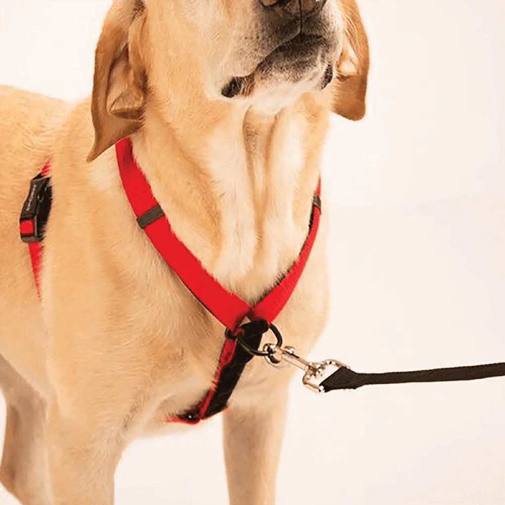 Ultimate Control Dog Harness – Adjustable Multi-Functional Harness with Front & Rear Pull Control, Padded Handle, and Detachable Leash Extension