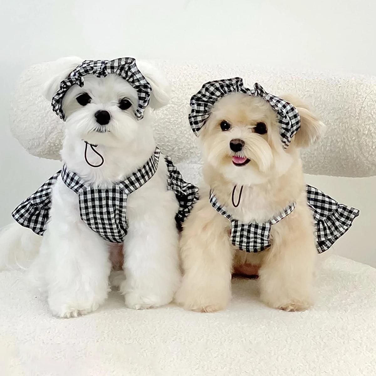 Dog Plaid Dress with Hat – Black & White Summer Outfit for Small Dogs and Puppies