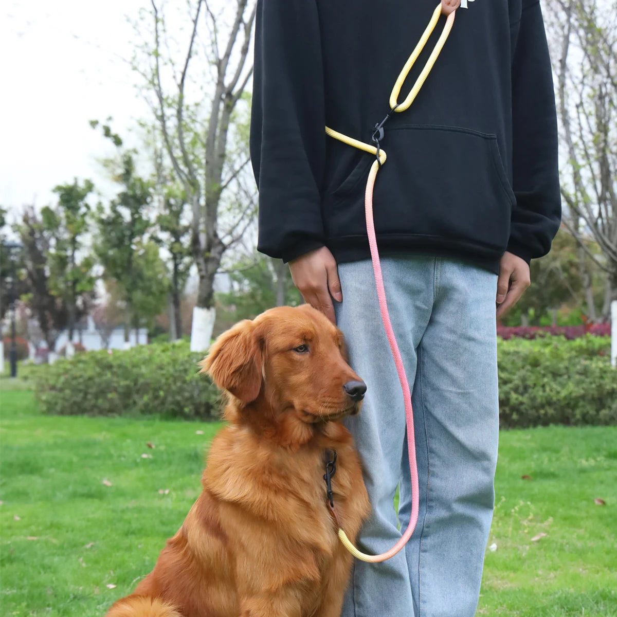 Gradient Rope Dog Leash – Durable Outdoor Lead with Comfortable Handle