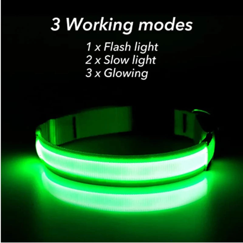 USB Rechargeable LED Dog Collar – Glowing Light-Up Safety Collar with Pendant for Small Dogs & Cats