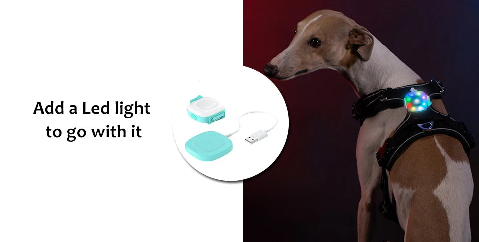 Truelove Reflective Dog Harness – Adjustable No-Pull Nylon Vest with 3M Reflective Webbing (TLH56512)