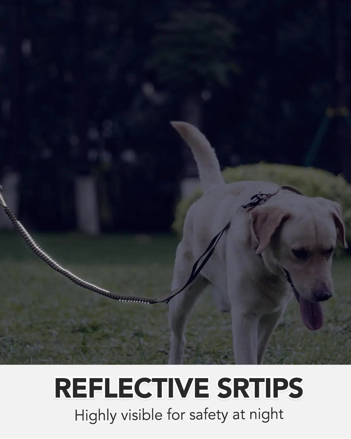 Military-Grade Tactical Dog Collar with Handle – Heavy Duty Adjustable Collar for Medium & Large Dogs