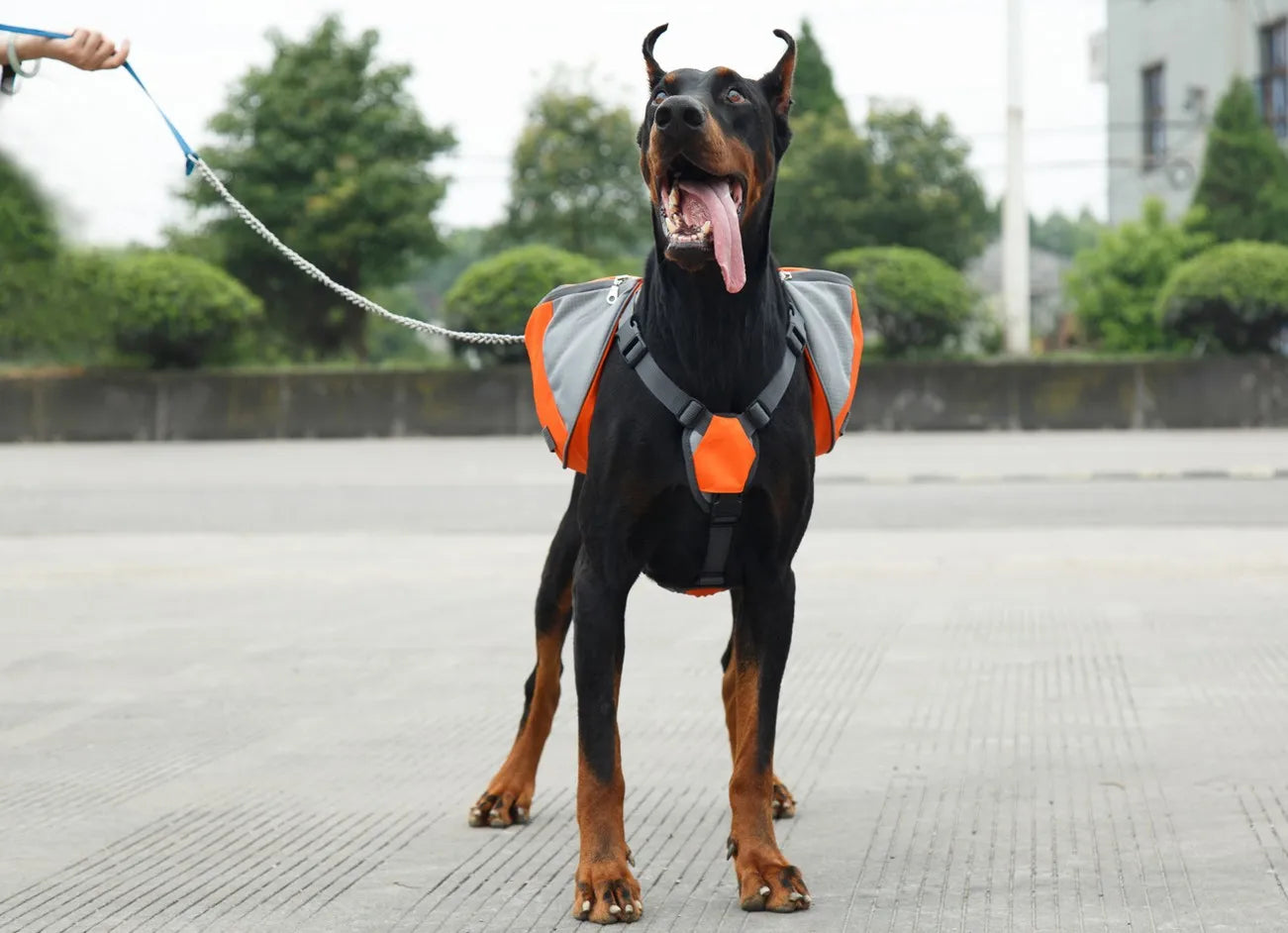 Portable Dog Training Backpack – Reflective Travel Snack Storage Bag