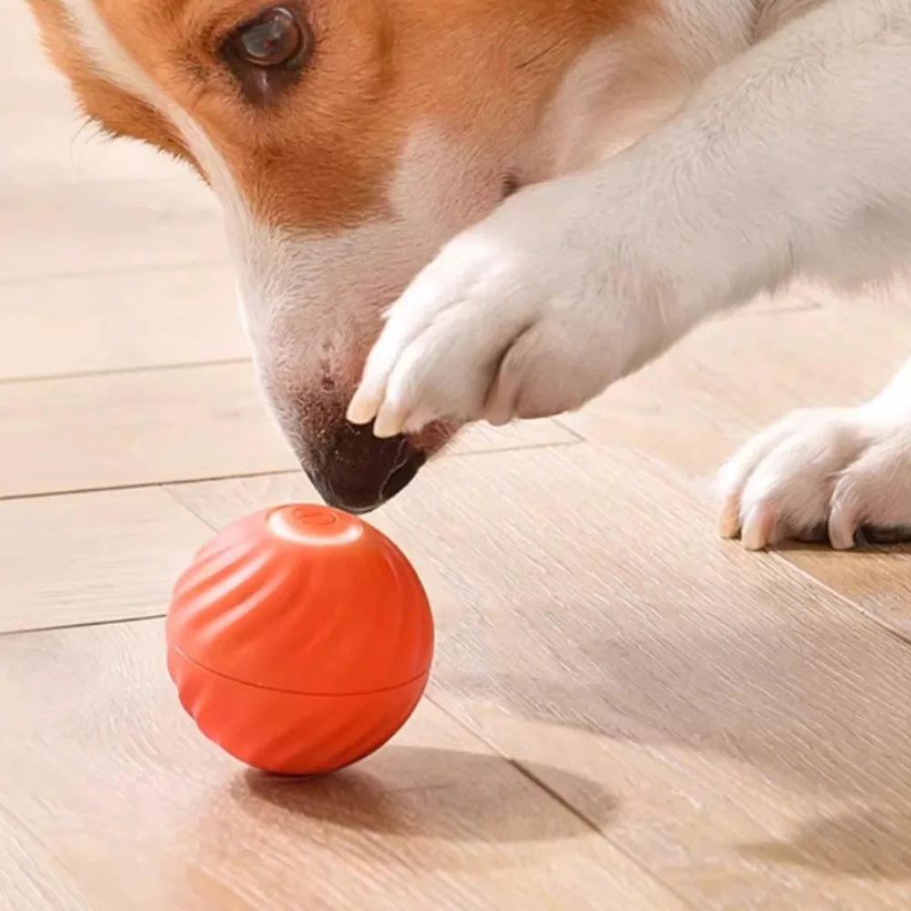 Smart Interactive Dog Toy Ball – USB Rechargeable, Automatic Jumping & Rotating