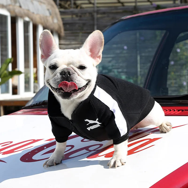 Baseball Dog Jacket – Winter Coat for Small & Medium Dogs