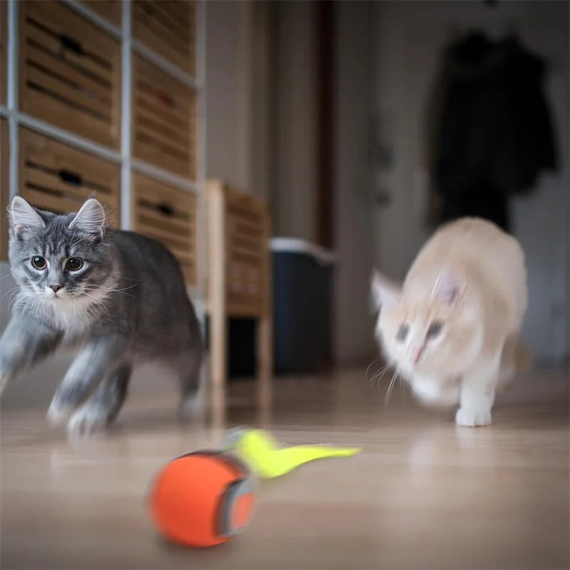 Smart Interactive Cat Toy Ball – USB Rechargeable Rolling Teaser