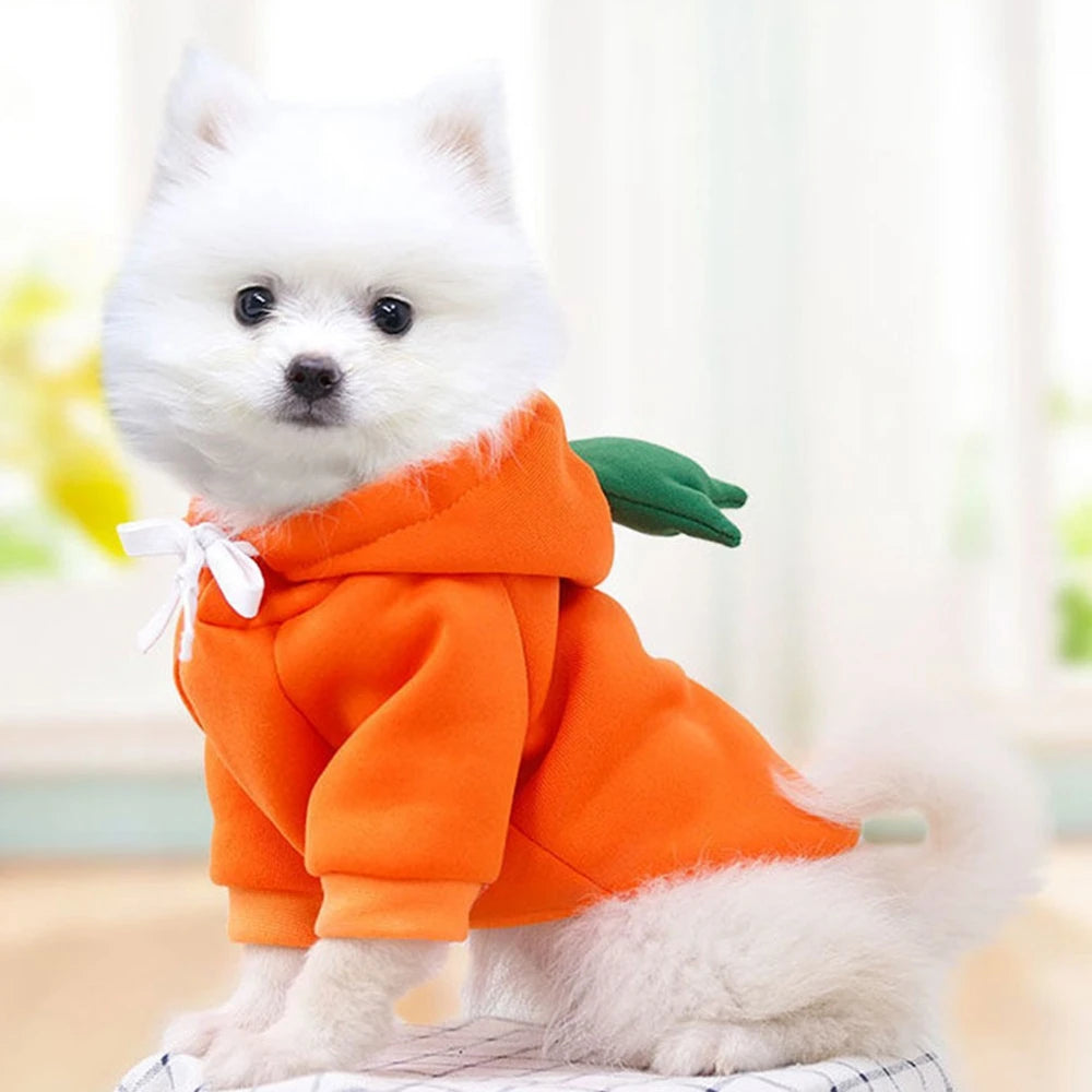 Fall Dog Hoodie – Plush Coat Sweatshirt for Small Dogs & Cats