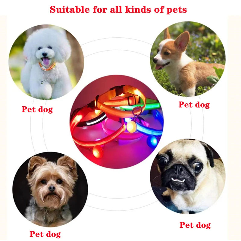 USB Rechargeable LED Dog Collar – Glowing Light-Up Safety Collar with Pendant for Small Dogs & Cats