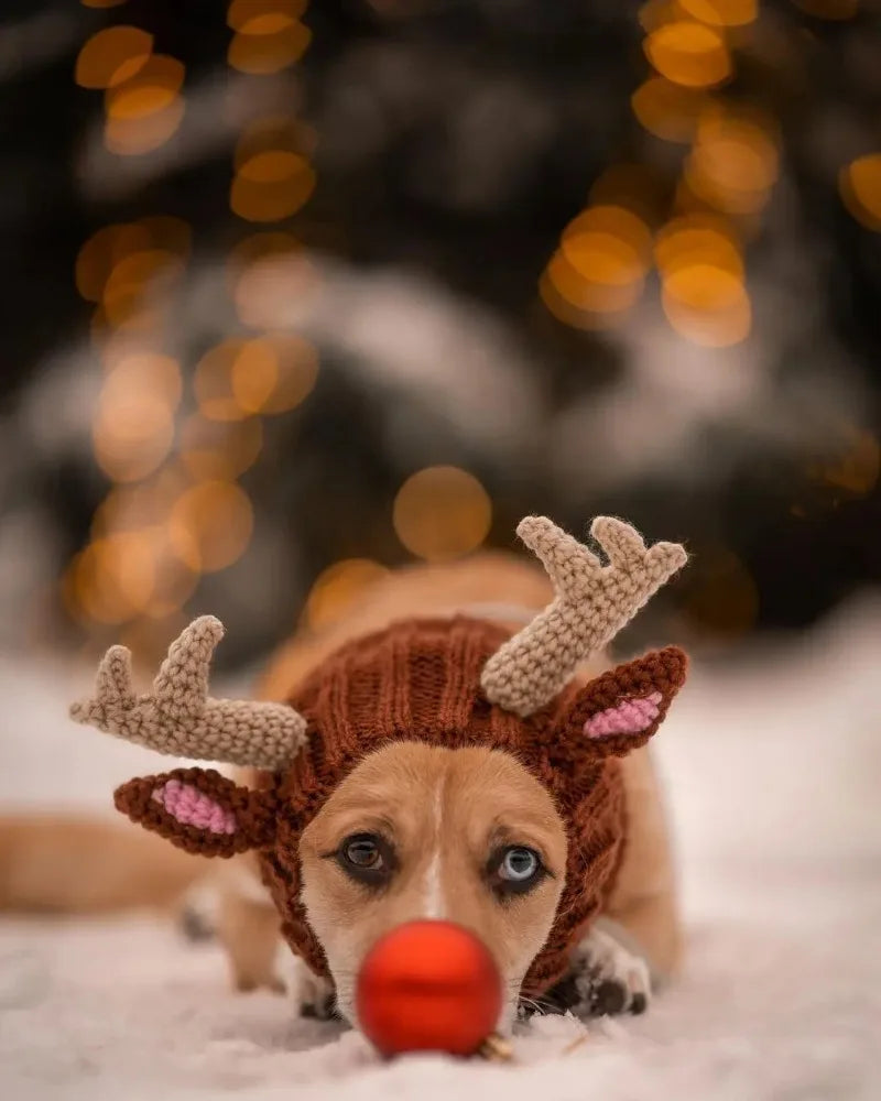 Christmas Elk Dog Hat – Knitted Warm Windproof Pet Headgear
