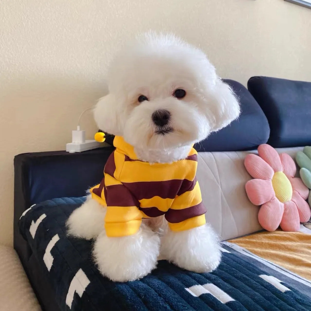 Bee Pet Hoodie – Autumn/Winter Costume for Dogs & Cats