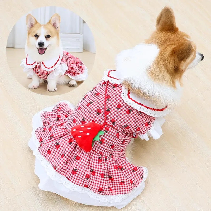 Strawberry Dog Dress – Cute Plaid Summer Outfit for Small Dogs & Cats