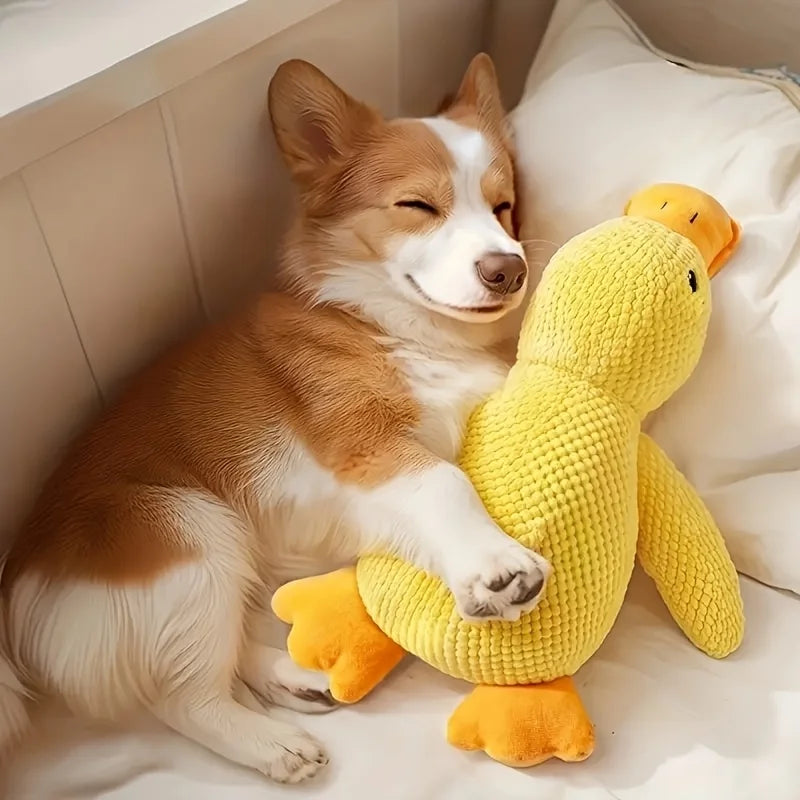 Durable Plush Squeaky Dog Toy – Chew-Resistant, Interactive Toy for All Dog Breeds