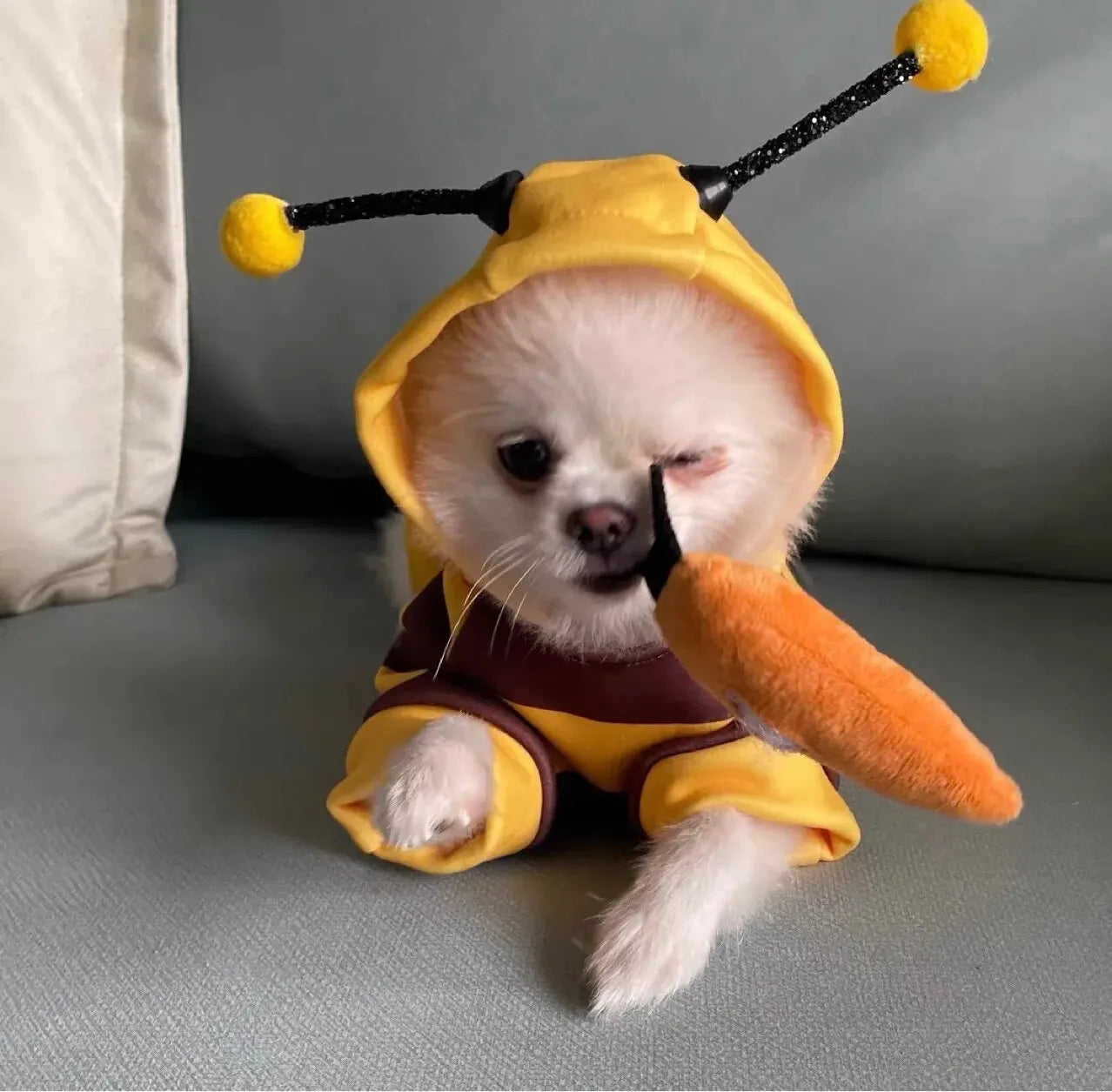 Bee Pet Hoodie – Autumn/Winter Costume for Dogs & Cats