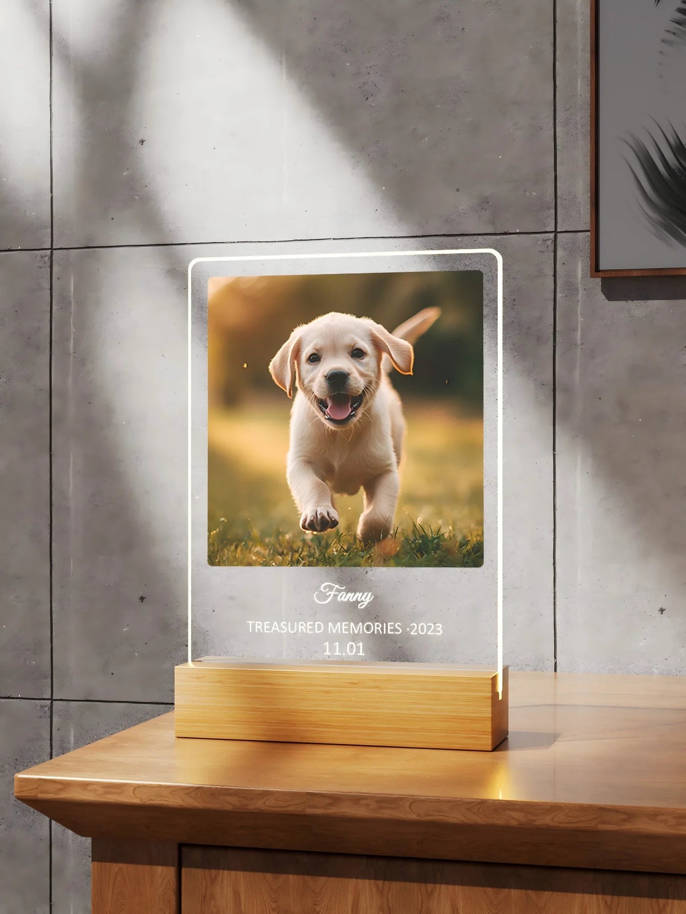 Custom Pet Memorial Nightlight – Personalized Pet Photo & Name Keepsake