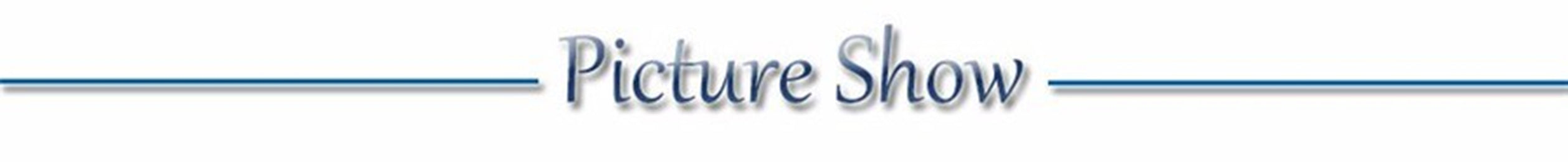 USB Rechargeable LED Glowing Dog Collar – Adjustable Night Safety