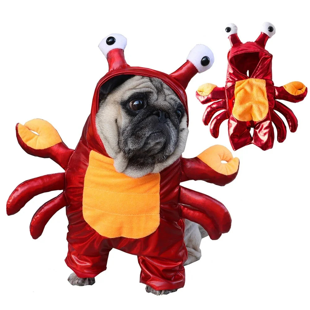 Halloween Crab Costume – Funny Pet Outfit for Dogs & Cats