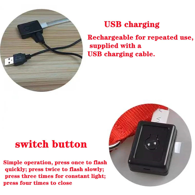USB Rechargeable LED Dog Collar – Glowing Light-Up Safety Collar with Pendant for Small Dogs & Cats