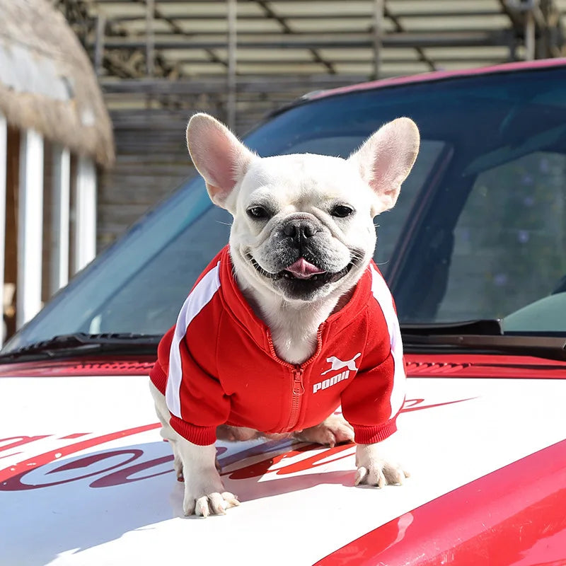 Baseball Dog Jacket – Winter Coat for Small & Medium Dogs