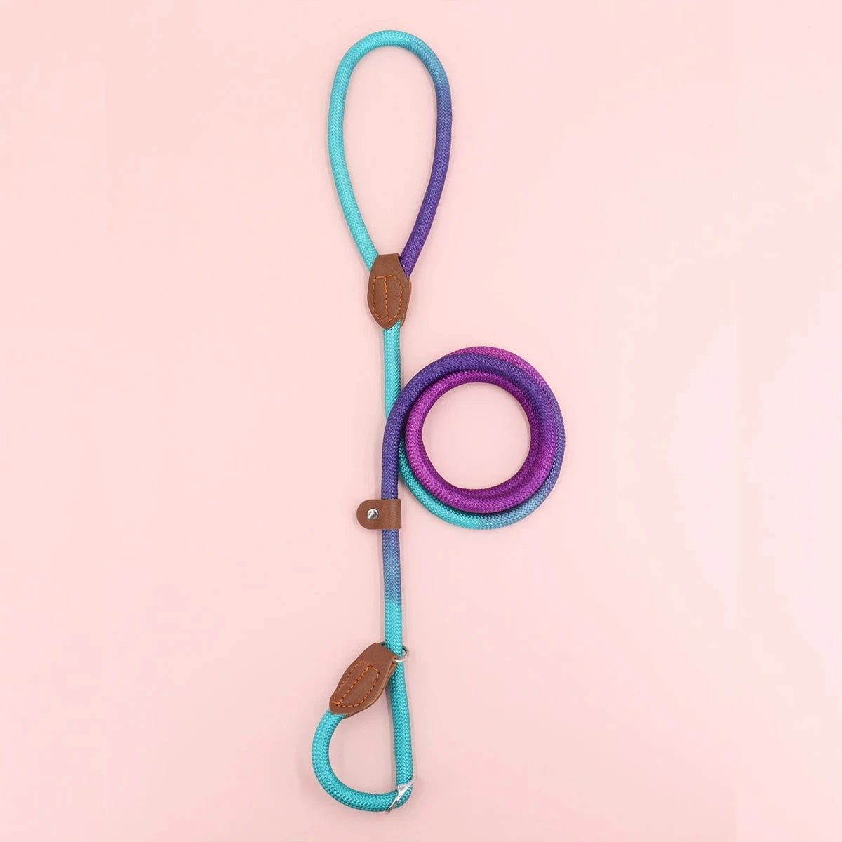 Colorful Dog Leash – Durable Nylon Lead for Indoor & Outdoor Use