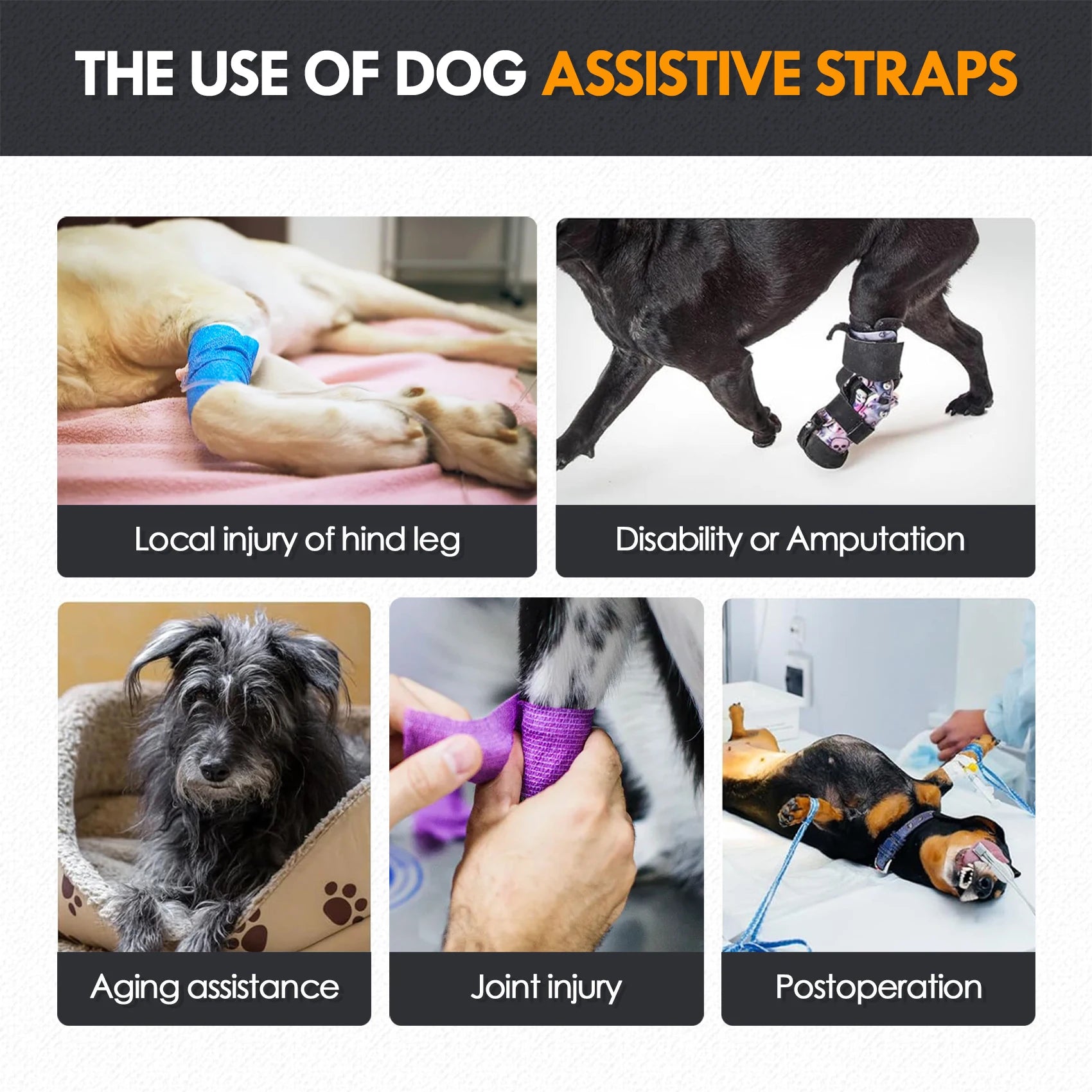 Dog Dog Sling Harness – Hind-Leg Support for Elderly & Disabled Large DogsSling for Large Dogs Hind Leg Support to Help Rehabilitate The Hind Limbs of Elderly Dogs with Weak Hind Legs Disabilities