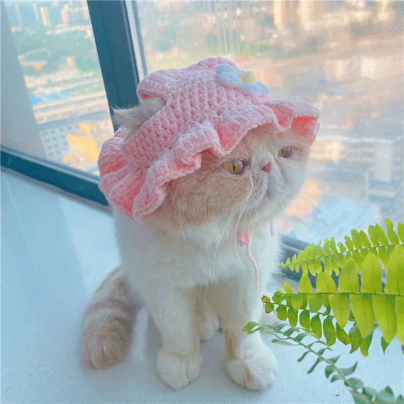 Knitted Cat Hat – Autumn Winter Pet Hat for Cats, Kittens & Small Dogs