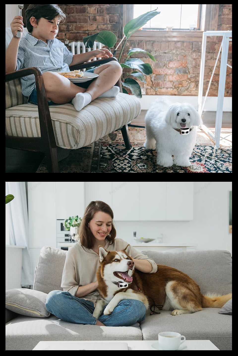 2-in-1 Wireless Dog Fence & Training Collar – Rechargeable Anti-Runaway System for Up to 3 Dogs