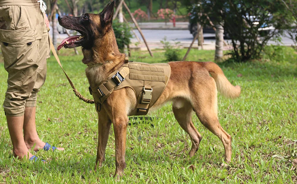 Tactical Dog Harness & Leash Set – Military Training Vest for Large Dogs
