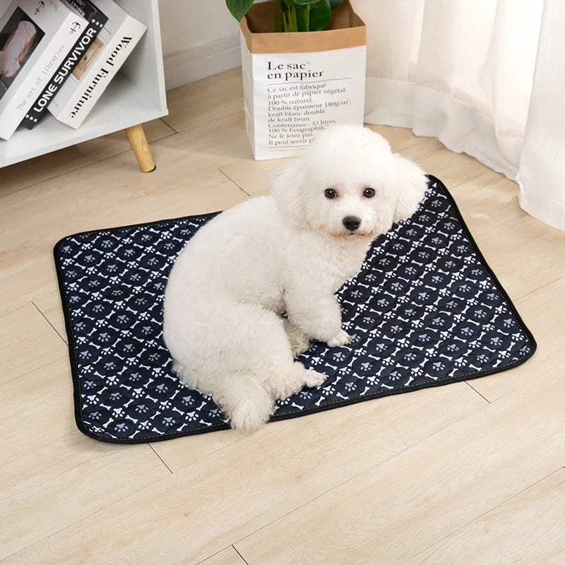 Reusable Dog Pee Pad Blanket – Absorbent Washable Training Pad & Bed Protector for Pets