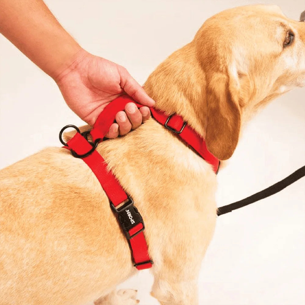 Ultimate Control Dog Harness – Adjustable Multi-Functional Harness with Front & Rear Pull Control, Padded Handle, and Detachable Leash Extension