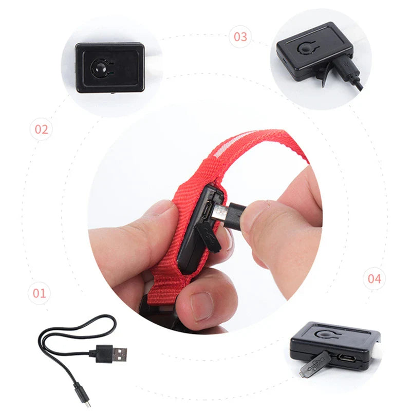 USB Rechargeable LED Glowing Dog Collar – Adjustable Night Safety