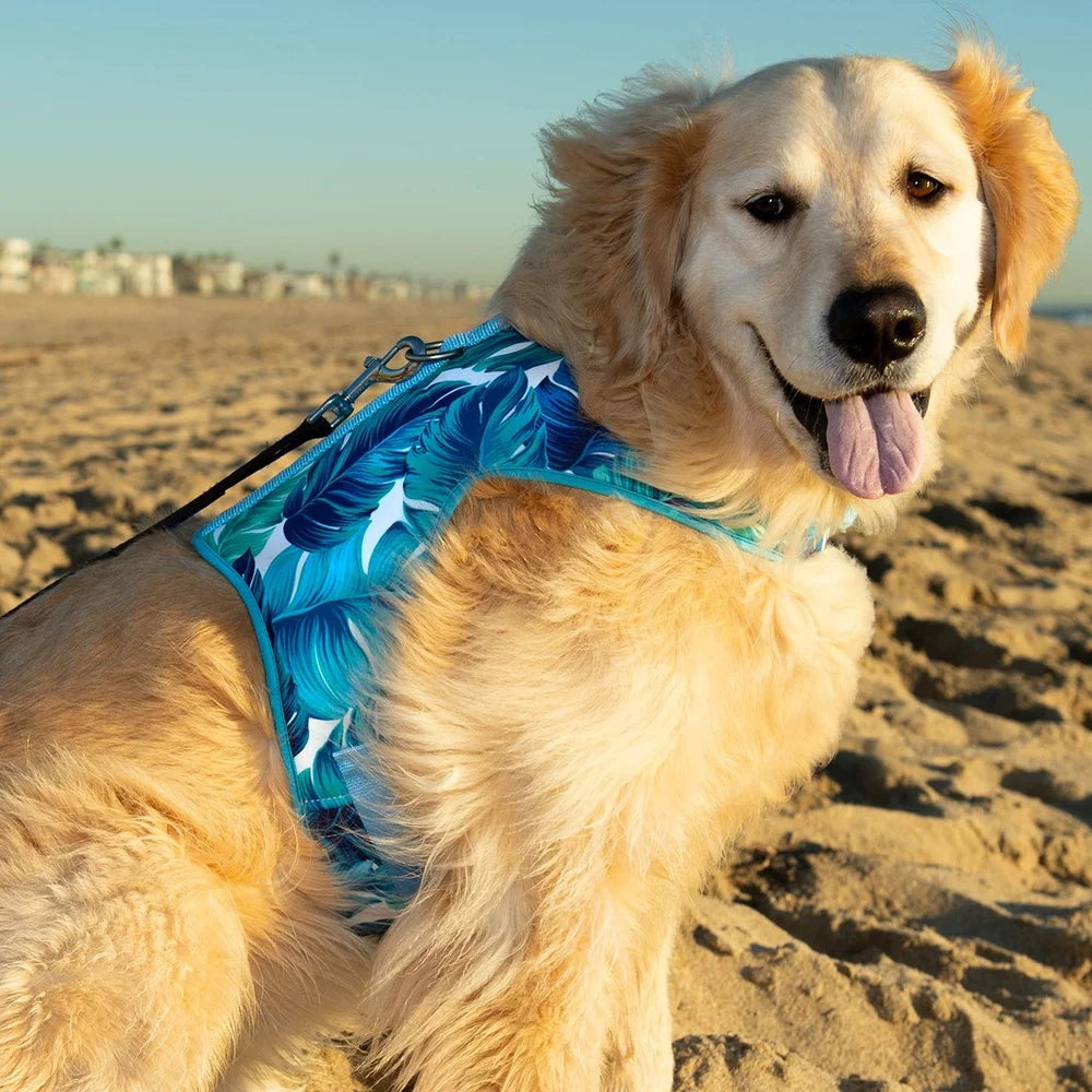 Adjustable Tropical Leaf Dog Harness – Medium Size, Stylish & Secure Walking Vest with D-Ring for Training & Control