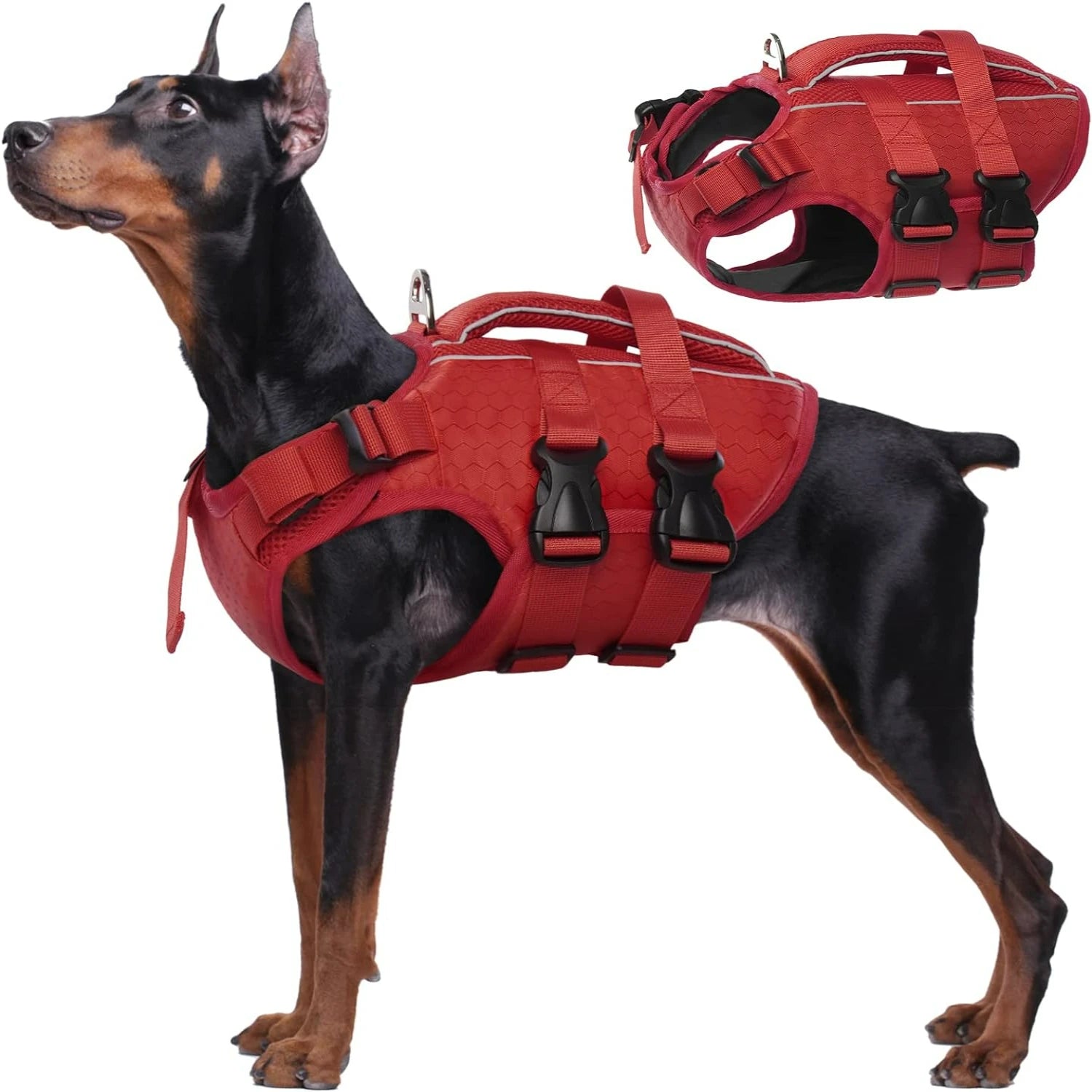Adjustable High-Flotation Dog Life Jacket – Lightweight & Durable for All Sizes
