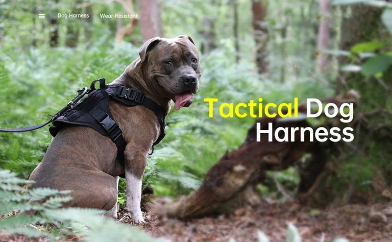 Tactical Dog Harness & Leash Set – Military-Grade Training Vest for All Breeds (German Shepherd, Golden Retriever & More)