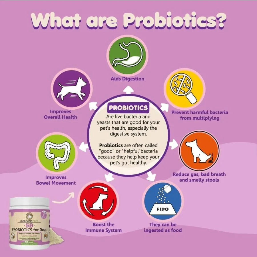 Probiotics for Dogs & Puppies – Extra Strength Formula with 9 Species & 5 Billion CFU per Scoop | Digestive Enzymes for Gut, Immune & Allergy Support
