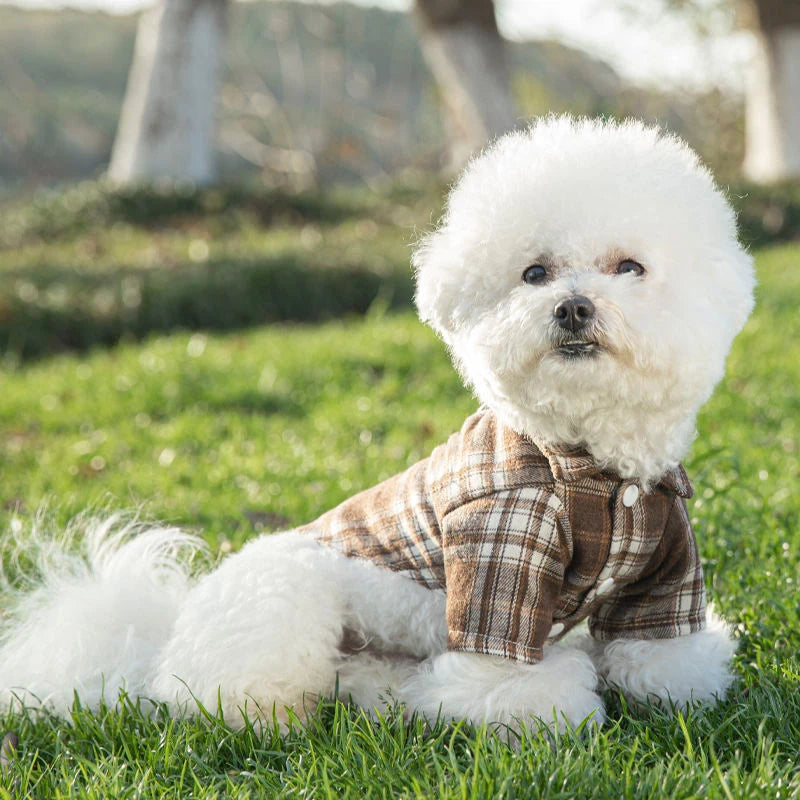 British Plaid Summer Dog Shirt – Lightweight Vest for Small Dogs