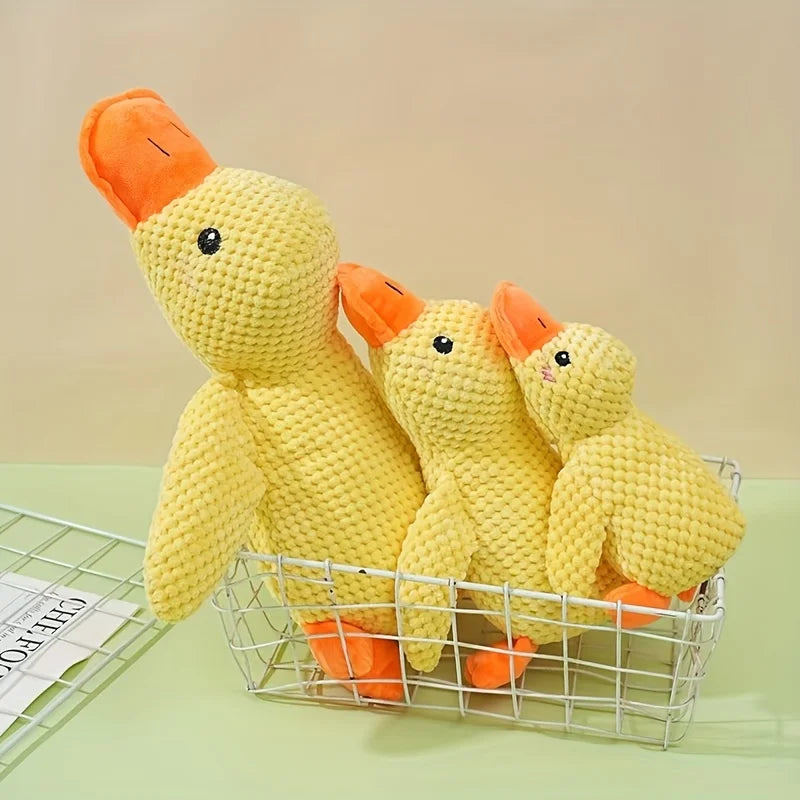 Durable Plush Squeaky Dog Toy – Chew-Resistant, Interactive Toy for All Dog Breeds
