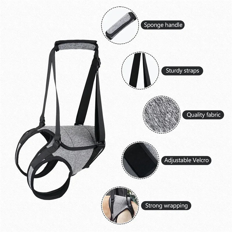 Adjustable Dog Lift Harness – Soft Padded Rear Leg Support for Senior, Injured & Disabled Large Dogs