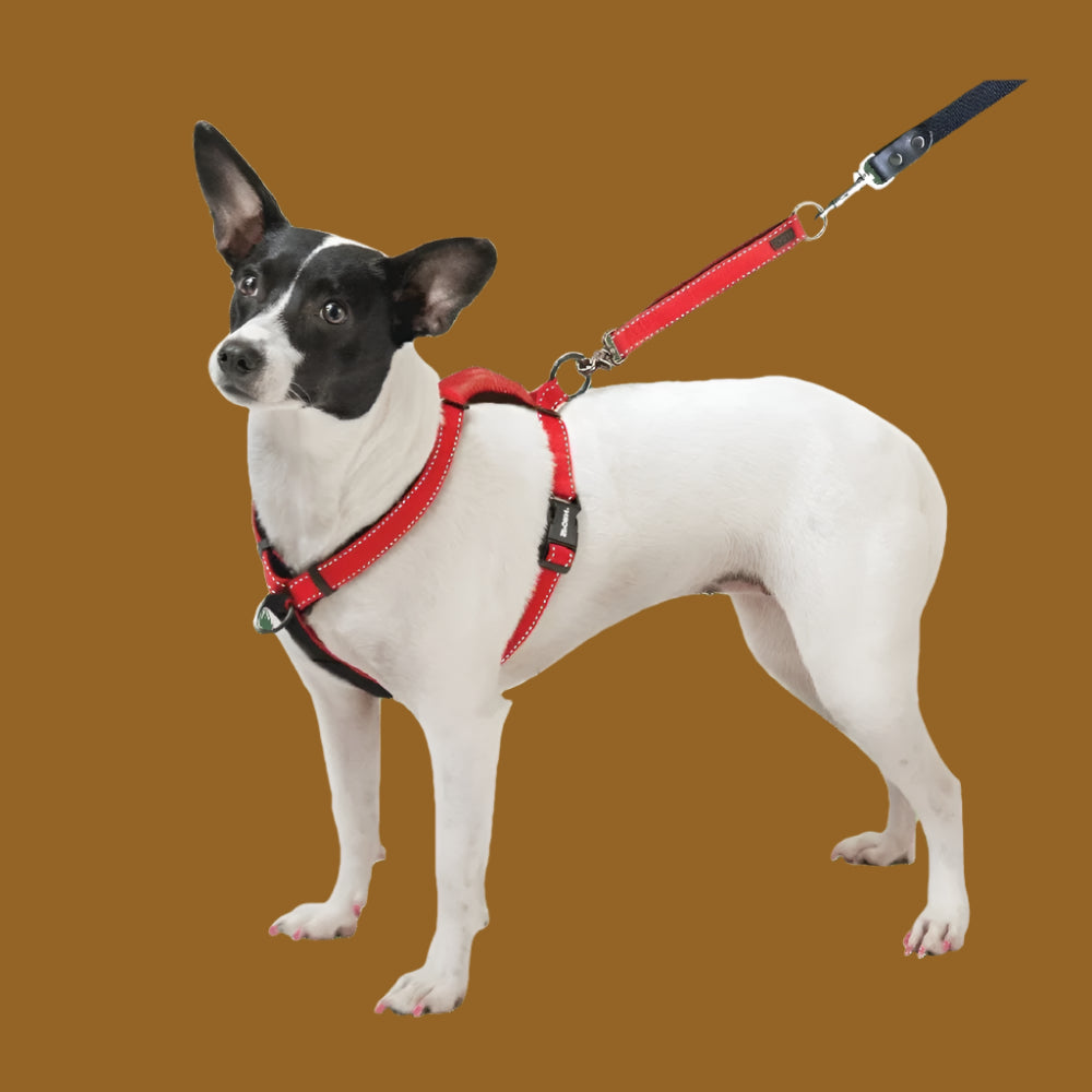 Ultimate Control Dog Harness – Adjustable Multi-Functional Harness with Front & Rear Pull Control, Padded Handle, and Detachable Leash Extension