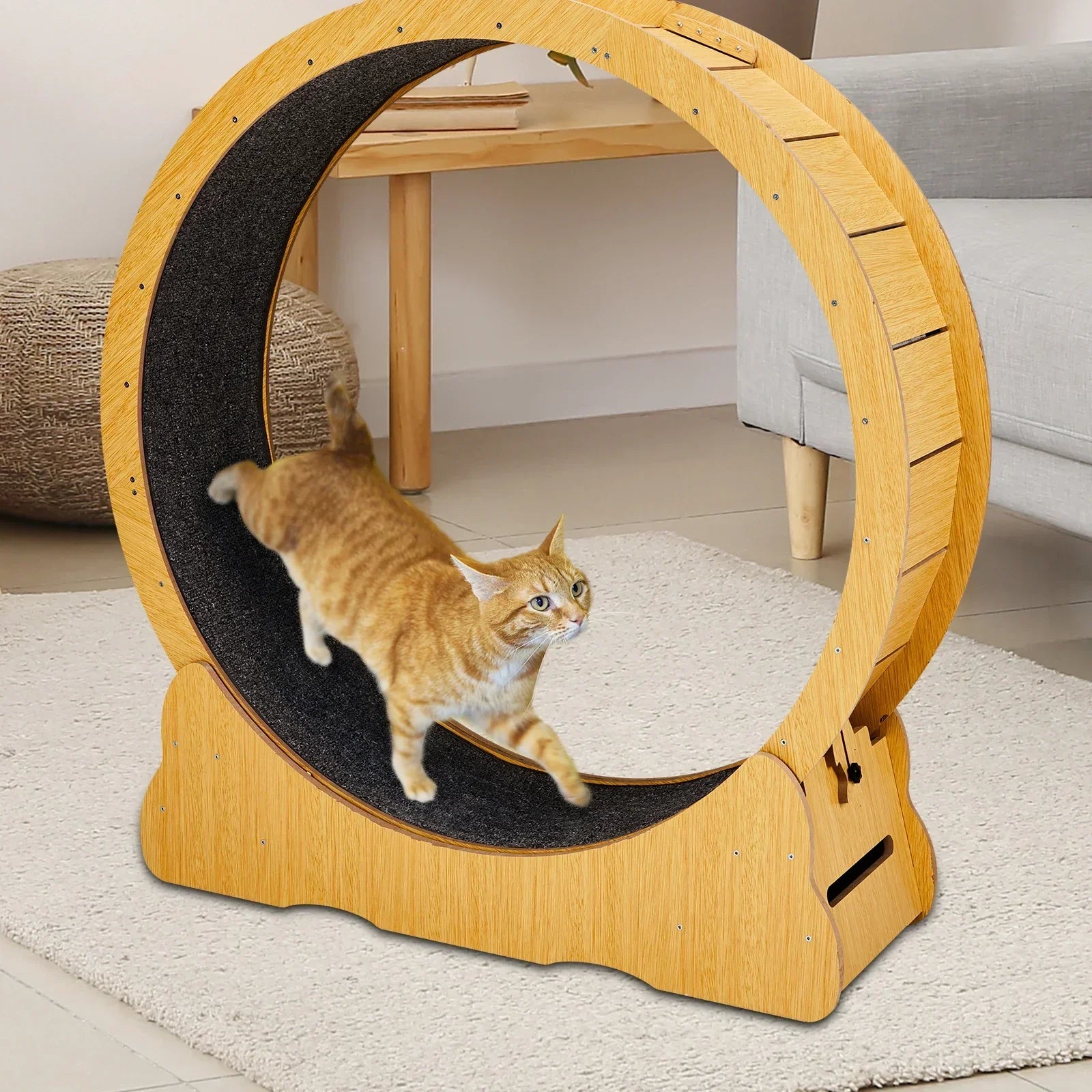 Cat Exercise Wheel – Indoor Running Wheel for Cats & Small Pets