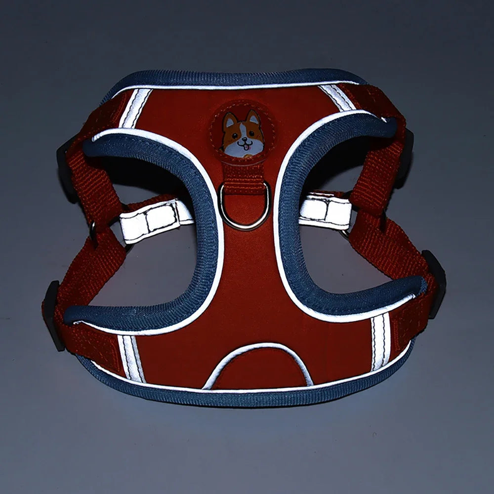 No Pull Harness & Leash Set – Adjustable Reflective Pet Vest for Small Dogs & Cats