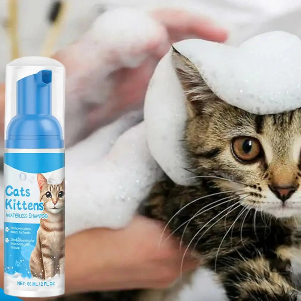 Waterless Cat Shampoo – Licking Safe Dry Foam Cleanser (60ml)