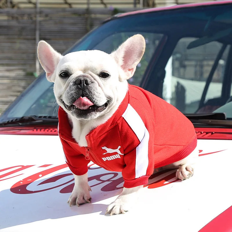 Baseball Dog Jacket – Winter Coat for Small & Medium Dogs