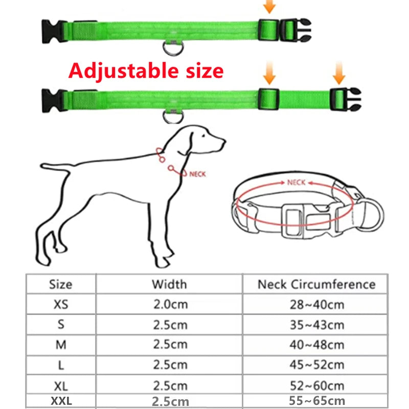 USB Rechargeable LED Dog Collar – Glowing Light-Up Safety Collar with Pendant for Small Dogs & Cats
