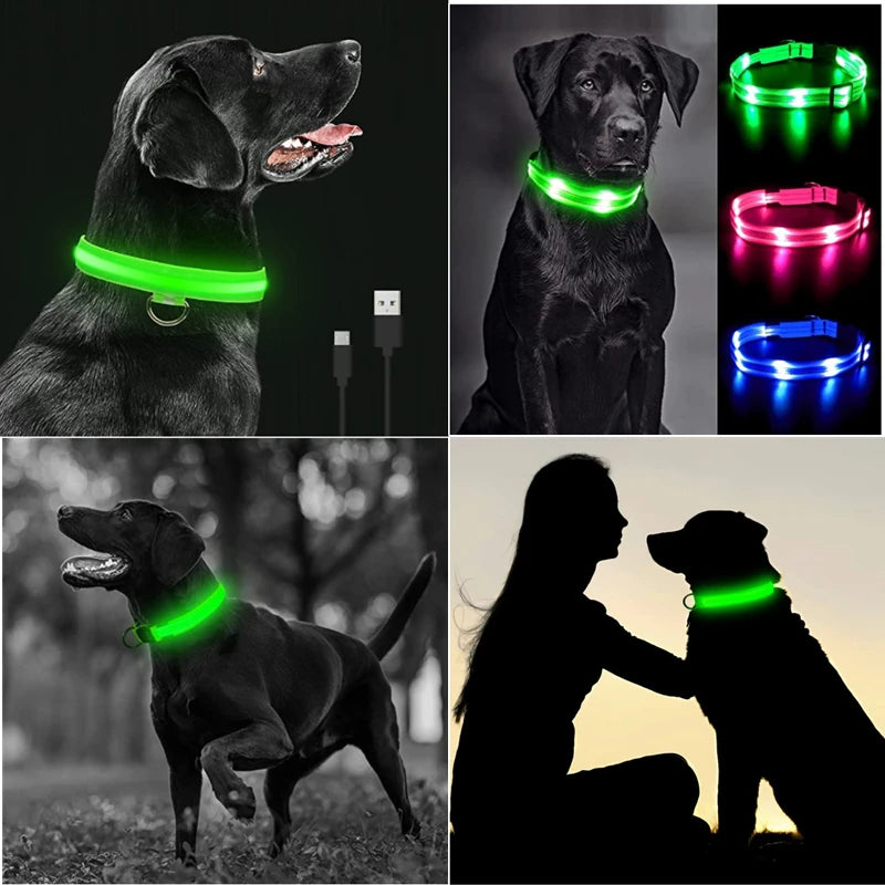 USB Rechargeable LED Dog Collar – Glowing Light-Up Safety Collar with Pendant for Small Dogs & Cats