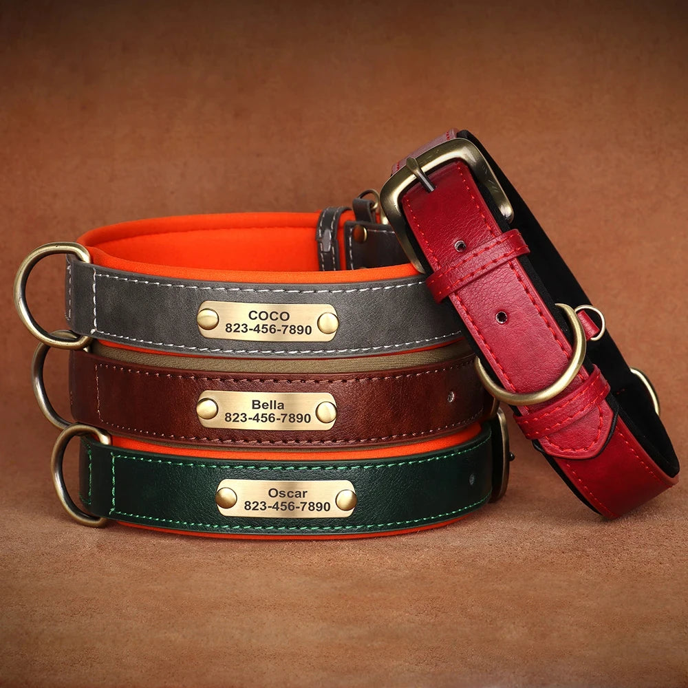 ersonalized Leather Dog Collar with Engraved ID Nameplate – Soft Padded Custom Collar for Small, Medium & Large Dogs